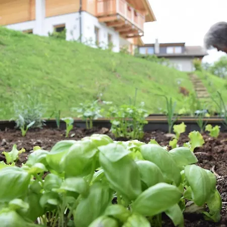 Farm stay Huetterhof *